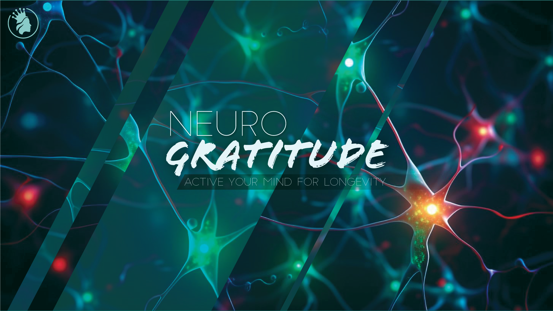 Neuro Gratitude - Active Your Mind For Longevity